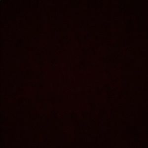 Meet your Posher, Dennis